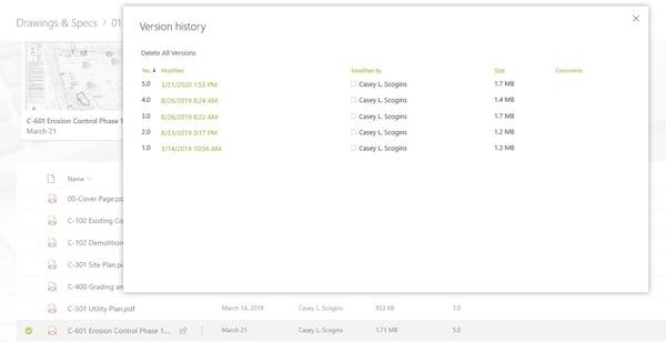 Document Version History