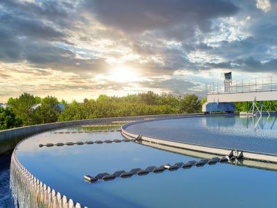 VPO-inset-sm-municipal