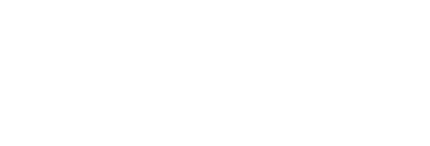 VPO Logo@4x
